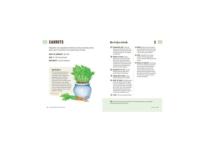 How to Grow Your Own Food