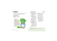 How to Grow Your Own Food