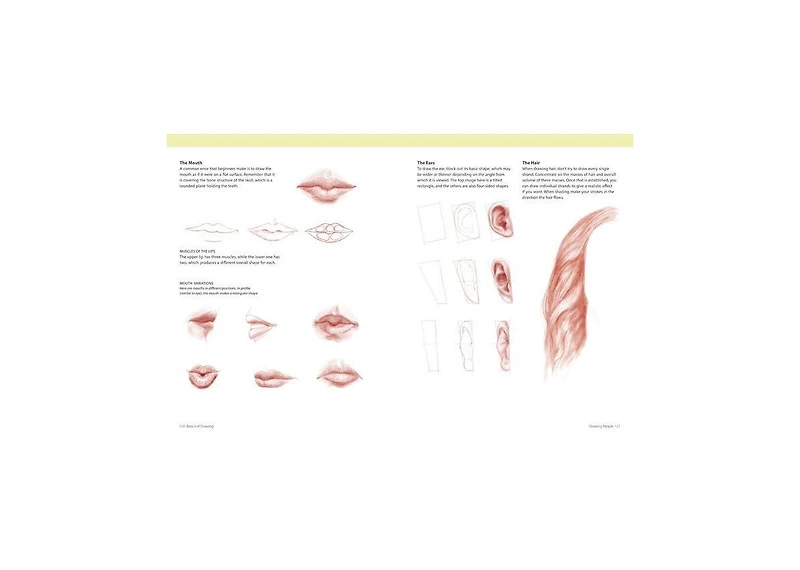 Basics of Drawing
