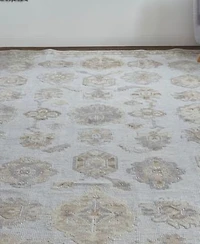 Feizy Wendover R6848 Area Rug Collection