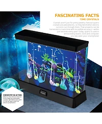 Discovery #Mindblown Crystal Aquarium Tank Diy Underwater Garden