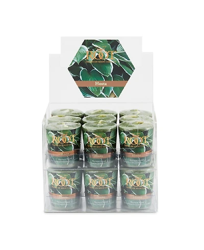 Votive Hosta 20 Hour Candles Set, 18 Piece