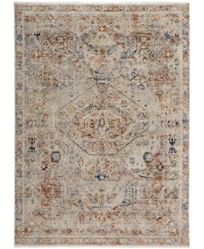 Feizy Frencess R39gj Area Rug