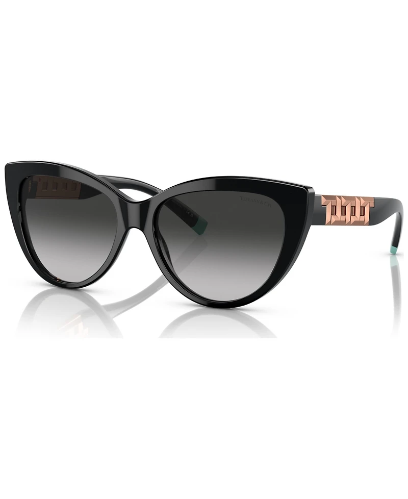 Tiffany & Co. Women's Sunglasses