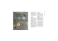 Body into Balance: An Herbal Guide to Holistic Self-Care by Maria Noel Groves