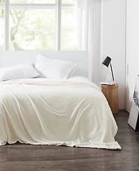Cannon Solid Plush Blanket, Full/Queen