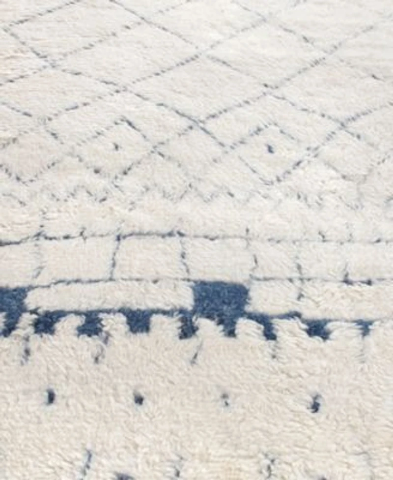 Exquisite Rugs Moroccan Er2563 Area Rug