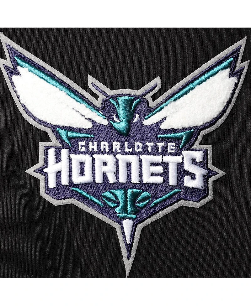 Men's Pro Standard Black Charlotte Hornets Logo Pullover Hoodie