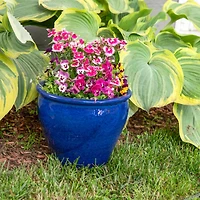 Chalet Outdoor/Indoor High-Fired Glazed Uv- and Frost-Resistant Ceramic Planters with Drainage Holes