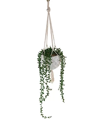 Flora Bunda String of Pearls Macrame Hanging Ceramic Pot Donkey Tails, 4"