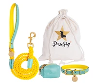 PoisePup Pet Dog 5ft Long Leash - Sunshine Babe