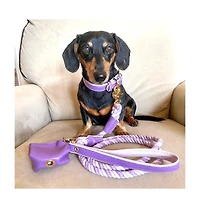 PoisePup Pet Dog Collar - Lavish Lavender