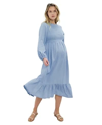 Women's Maternity Meadow Chambray Dress