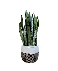 Bloem BloemBagz Round Fabric Planter Bag with Handles and Liner, Black/White 12inches
