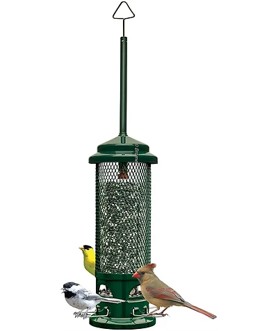Squirrel Buster Legacy Squirrel-proof Bird Feeder 2.6lb Seed Capacity
