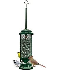 Squirrel Buster Legacy Squirrel-proof Bird Feeder 2.6lb Seed Capacity