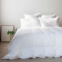 All Season Down Alternative Machine Washable Duvet Comforter Insert