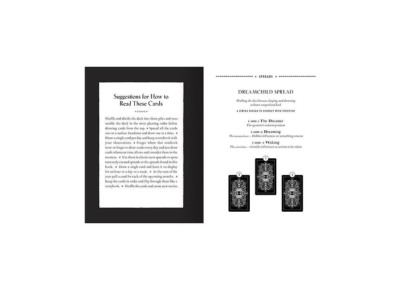 The Phantomwise Tarot- a 78-Card Deck and Guidebook Tarot Cards by Erin Morgenstern