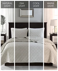 Madison Park Harper Quilted Velvet 3-Pc. Quilt Set