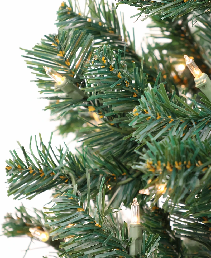 National Tree Company Acacia Pre-lit Christmas with 300 Clear Incandescent or Multicolor Lights, 6'