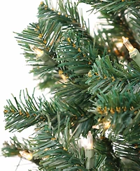 National Tree Company Acacia Pre-lit Christmas with 300 Clear Incandescent or Multicolor Lights, 6'