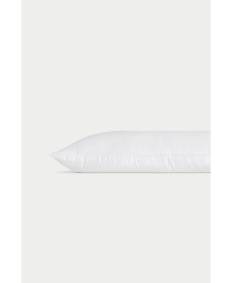 Cozy Earth Silk Pillow, Standard