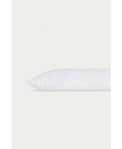 Cozy Earth Silk Pillow, Standard