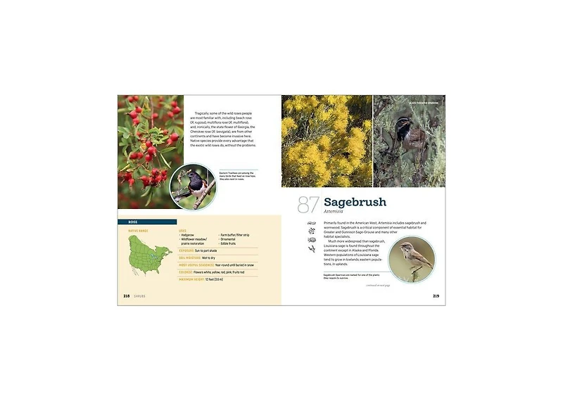 100 Plants to Feed the Birds- Turn Your Home Garden into a Healthy Bird Habitat by Laura Erickson