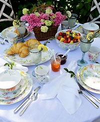 Euro Ceramica Charlotte 16 Pc. Dinnerware Set, Service for 4