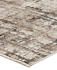 Dalyn Denizi DZ3 5'3" x 7'8" Area Rug