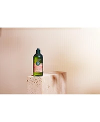 L'Occitane Intensive Repair Shampoo 10.10 fl. oz