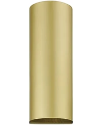 Livex Bond 1 Light Outdoor and Indoor Ada Large Sconce