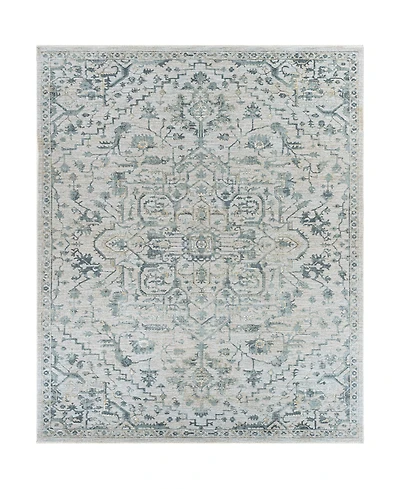 Livabliss Brunswick Bwk-2310 7'10" x 10'3" Area Rug