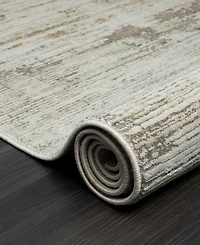 Lr Home Bienne BIENA288 5' x 7'11" Area Rug