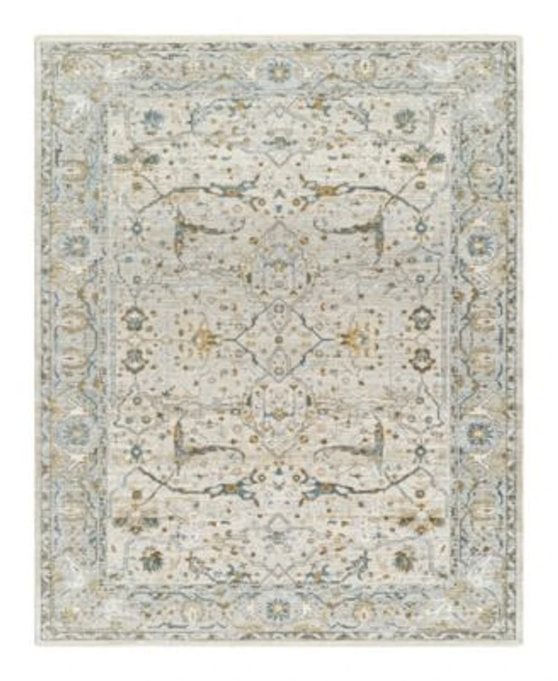 Livabliss Dresden Dre 2309 Area Rug
