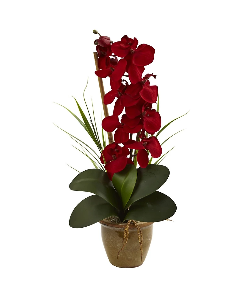 Nearly Natural Phalaenopsis Orchid Harvest Silk Arrangement in Ceramic Arrangement