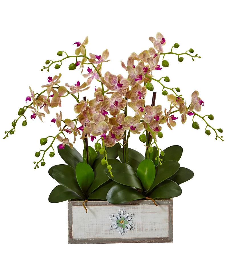 Nearly Natural Phalaenopsis Orchid Arrangement in Decorative Wood Planter