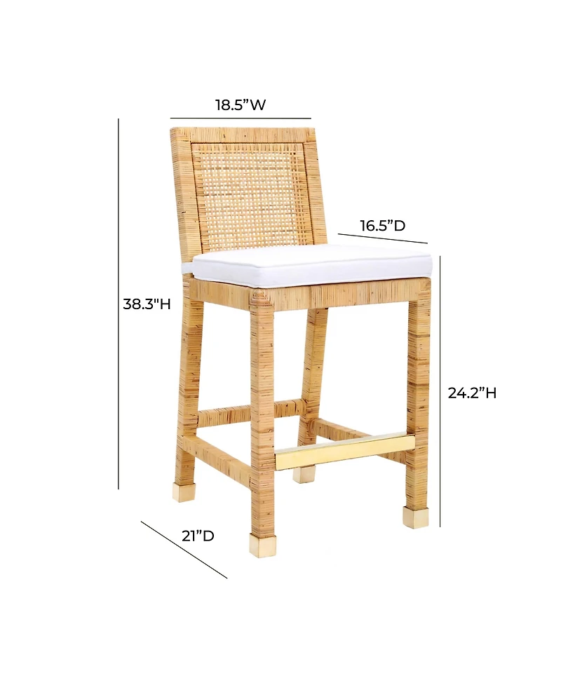 Tov Furniture Amara Rattan Counter Stool