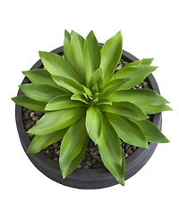 Nearly Natural Large Succulent Artificial Plant in Decorative Bowl