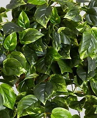Nearly Natural Pothos Uv-Resistant Indoor/Outdoor Artificial Plant Hanging Basket