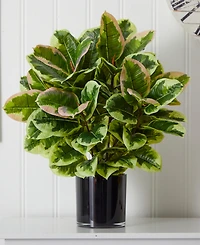 Nearly Natural Artificial Rubber Plant in Glossy Cylinder - Real Touch