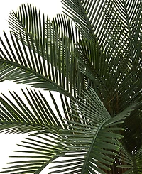 Nearly Natural 2' Cycas Artificial Tree, Uv Resistant