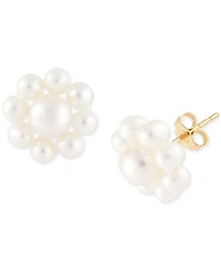 Cultured Freshwater Pearl (2-3/4 - 4-1/2mm) Flower Stud Earrings in 14K Gold