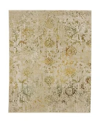 Karastan Memento Reflection Area Rug