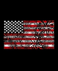La Pop Art Men's Raglan Baseball Word Fireworks American Flag T-shirt