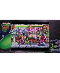 Teenage Mutant Ninja Turtles The Cowabunga Collection Limited Edition