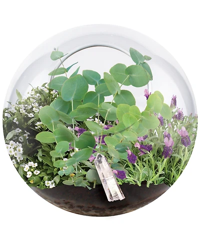 Unique Gardener Glass Terrarium Crystal Glass Garden Plant Kit