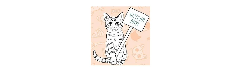 Kitten Lady's CATivity Book- Coloring, Crafts, and Activities for Cat Lovers of All Ages by Hannah Shaw