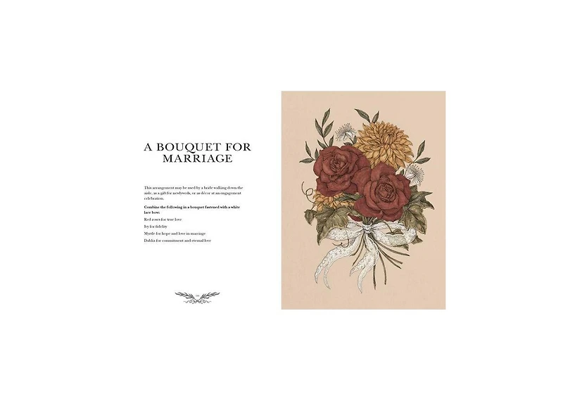 Floriography- An Illustrated Guide to the Victorian Language of Flowers by Jessica Roux