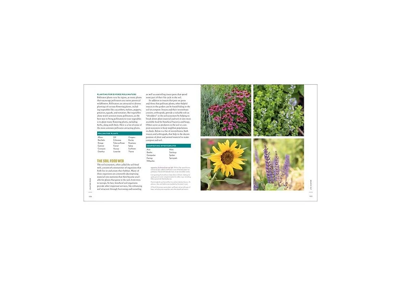 The Creative Vegetable Gardener- 60 Ways to Cultivate Joy, Playfulness, and Beauty along with a Bounty of Food by Kelly Smith Trimble